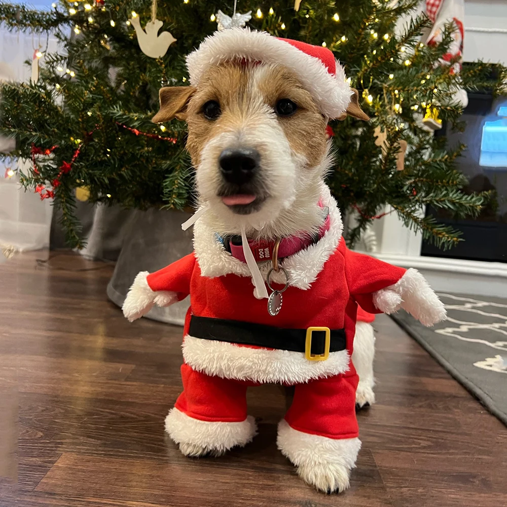 Christmas Clothes For Dogs Cat – Winter Clothing Dress Up recenzja i cena