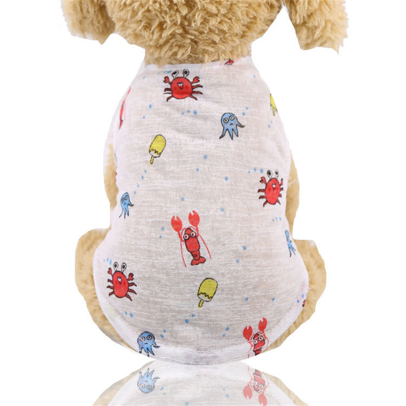 5 Colors Summer Lovely Cartoon – Winter Clothing Colors recenzja i cena